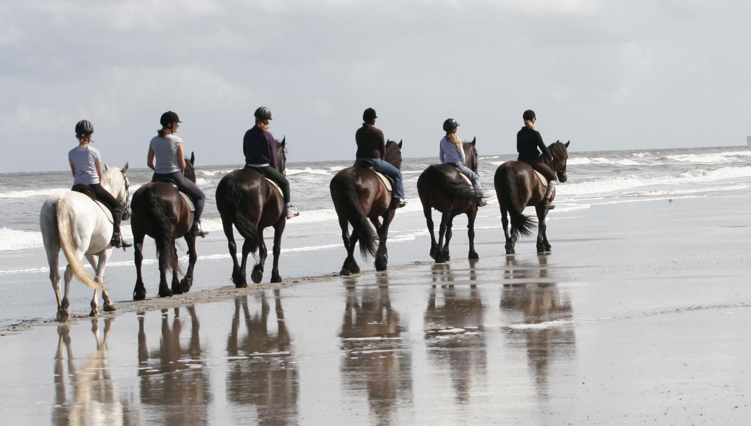 Rijstal 't Jutterspad - VVV Ameland