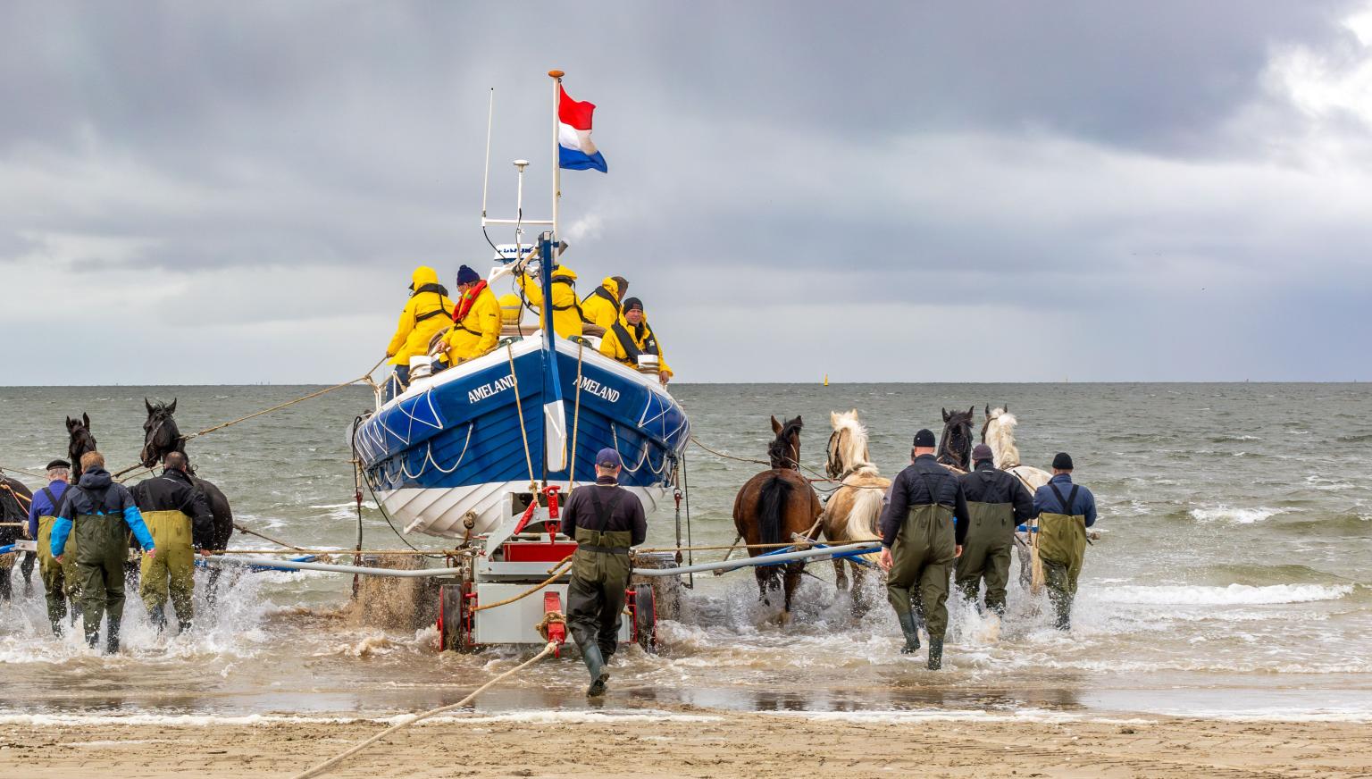 Vorführung des Pferderettungsbootes - VVV Ameland