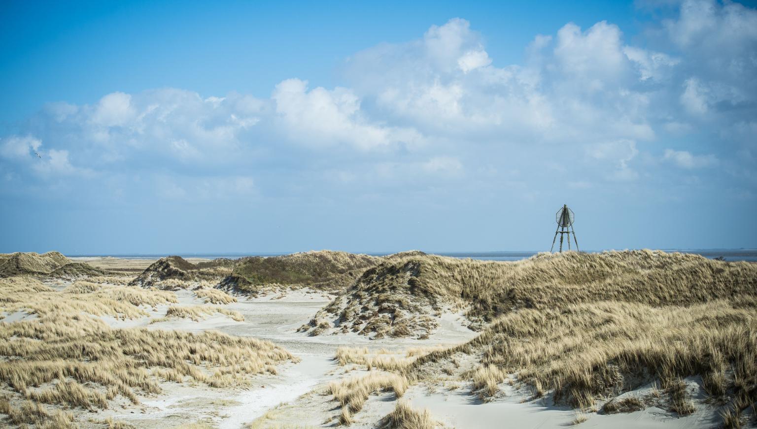 Kosten VVV Ameland Lidmaatschap - VVV Ameland