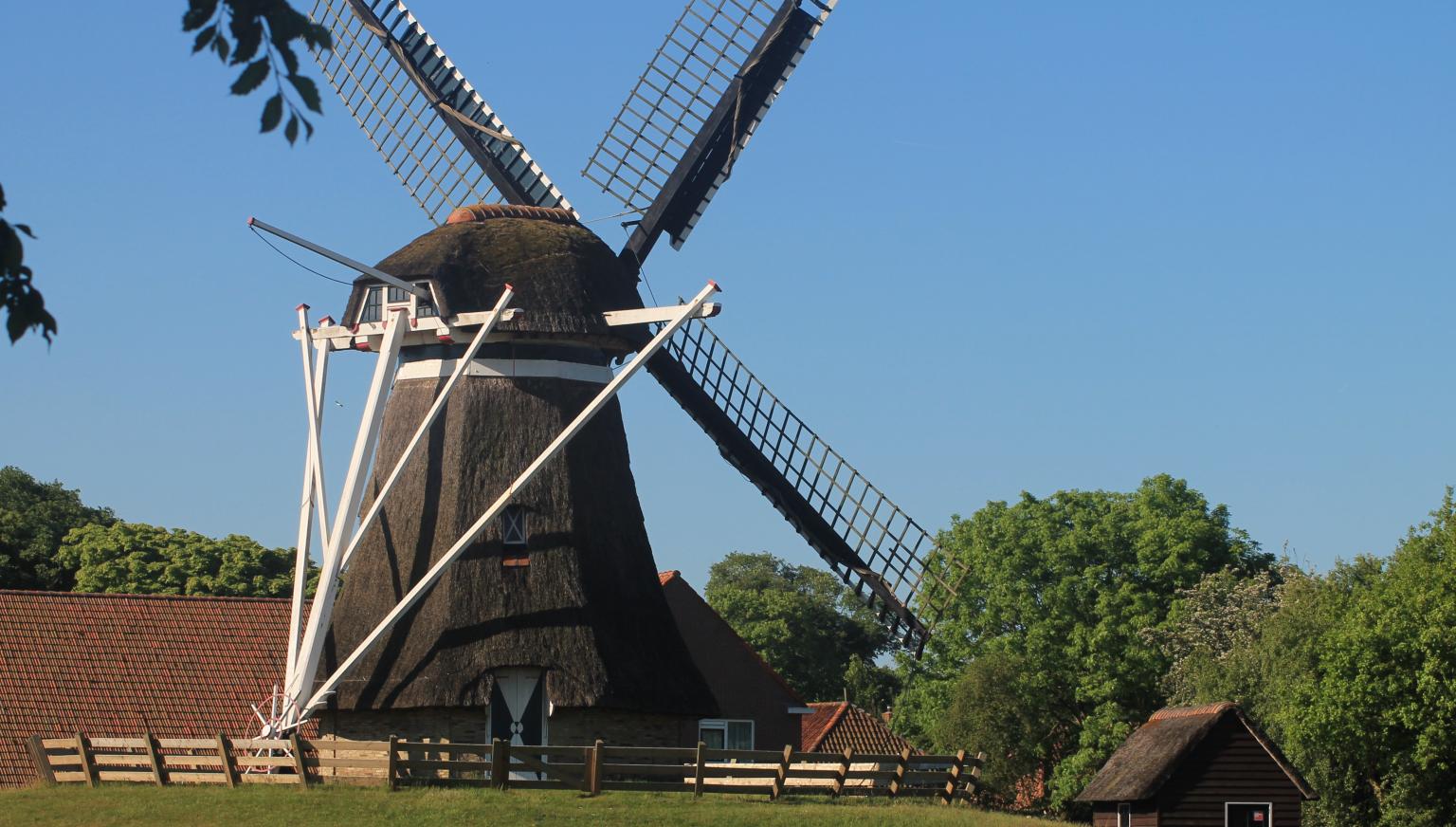 Korenmolen De Phenix - VVV Ameland