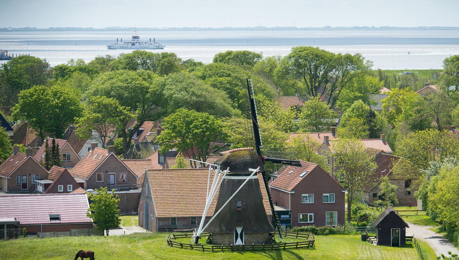 Ferienhäuser Nes 5 - 6 Personen - VVV Ameland