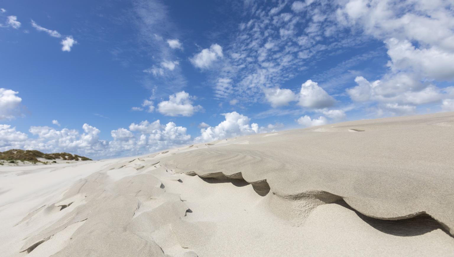 Strand- und Muschelexkursion - VVV Ameland