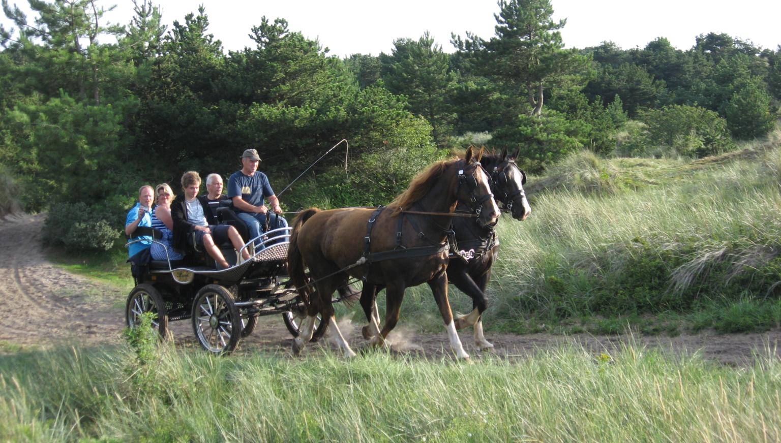 Freizeitfahrten Familie De Boer - VVV Ameland