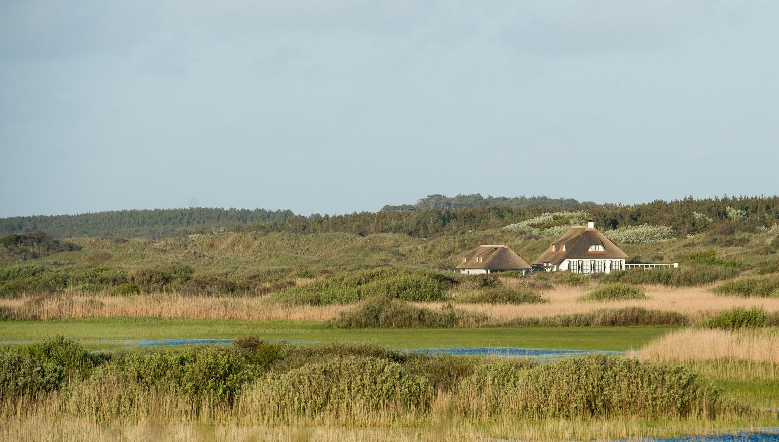 Ferienhäuser - VVV Ameland