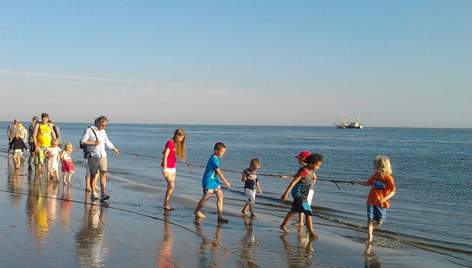 Kurren am Strand - VVV Ameland