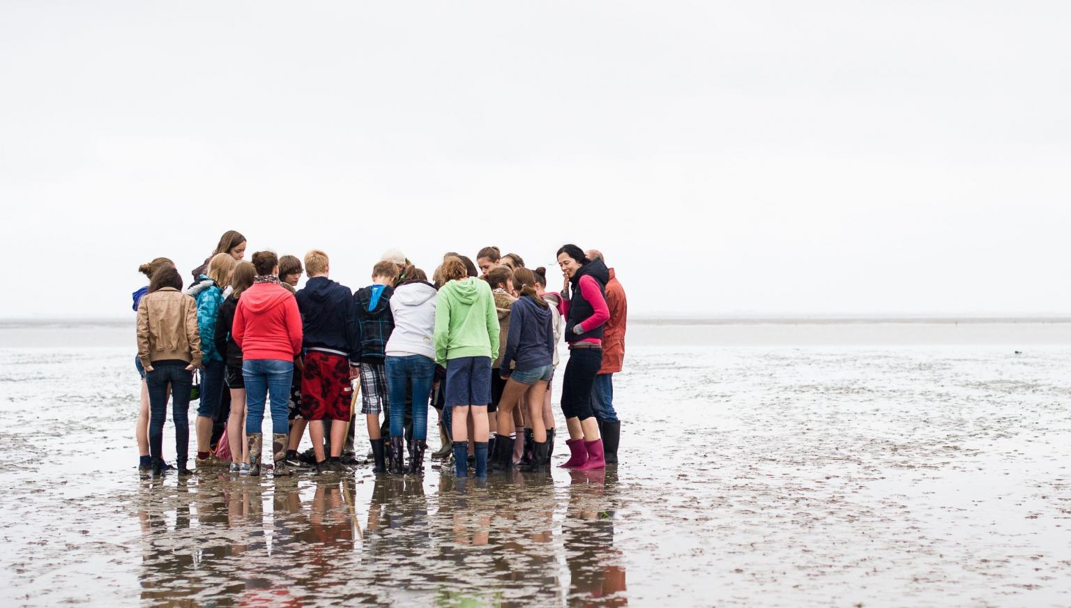 Wadexcursie - VVV Ameland