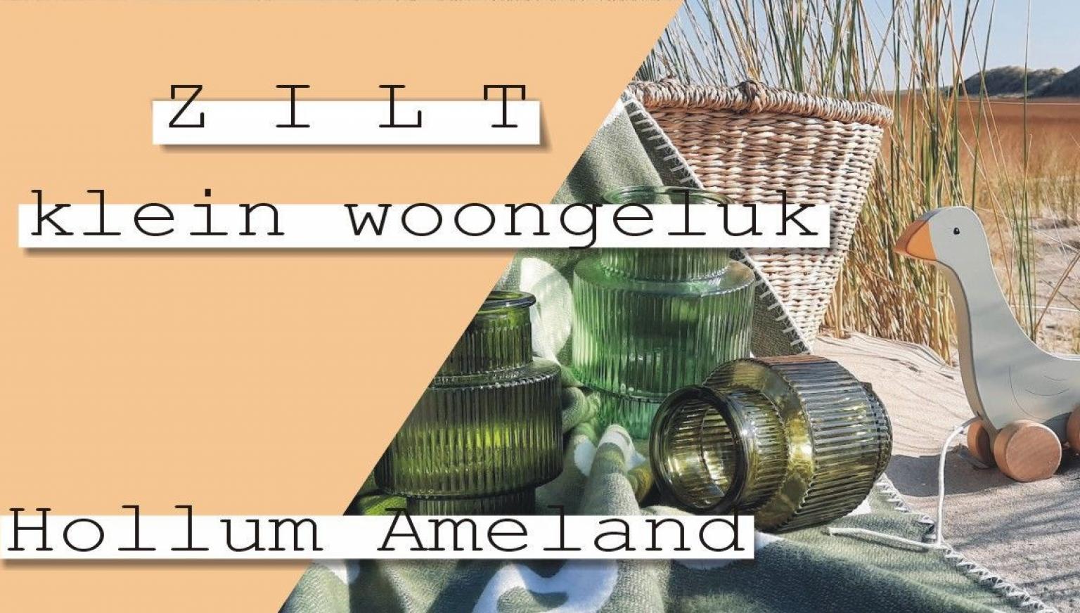 Zilt klein woongeluk - VVV Ameland